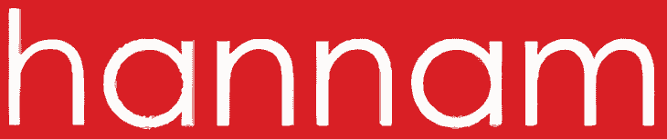 HanNam logo