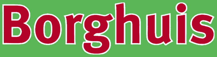 Borghuis logo